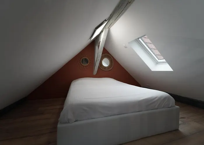 Duplex De Charme Au Coeur Historique De Metz